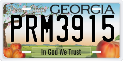 GA license plate PRM3915