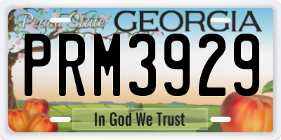 GA license plate PRM3929