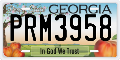 GA license plate PRM3958
