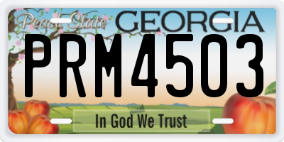 GA license plate PRM4503