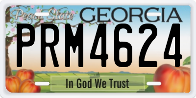 GA license plate PRM4624