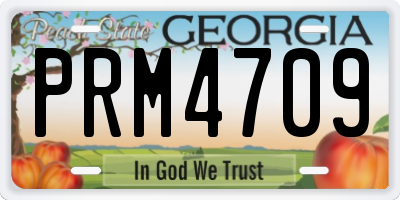 GA license plate PRM4709