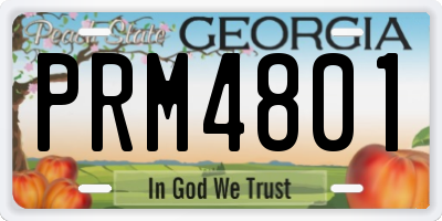 GA license plate PRM4801