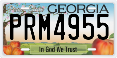 GA license plate PRM4955