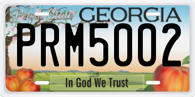 GA license plate PRM5002