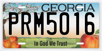 GA license plate PRM5016