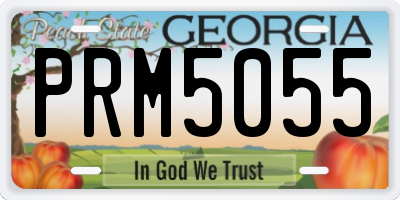 GA license plate PRM5055