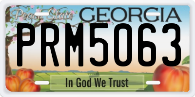 GA license plate PRM5063