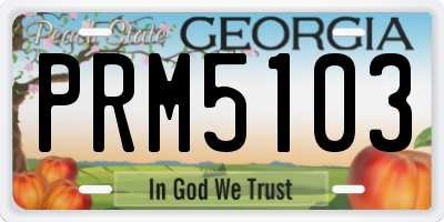 GA license plate PRM5103