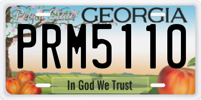 GA license plate PRM5110
