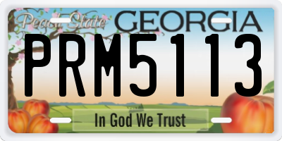 GA license plate PRM5113