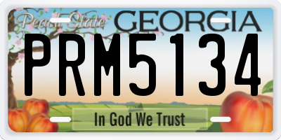 GA license plate PRM5134