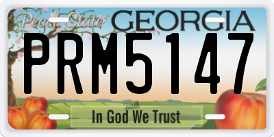 GA license plate PRM5147