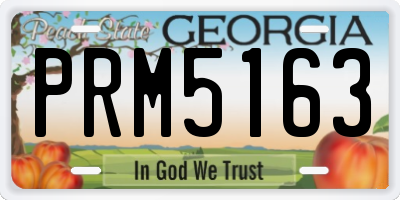 GA license plate PRM5163