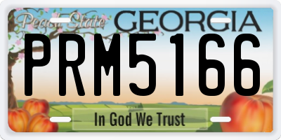 GA license plate PRM5166