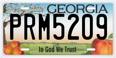 GA license plate PRM5209