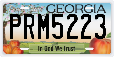 GA license plate PRM5223