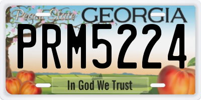 GA license plate PRM5224