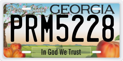 GA license plate PRM5228