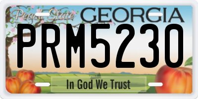 GA license plate PRM5230