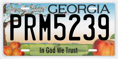 GA license plate PRM5239