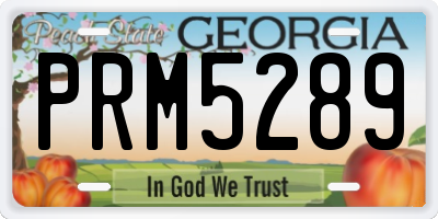 GA license plate PRM5289