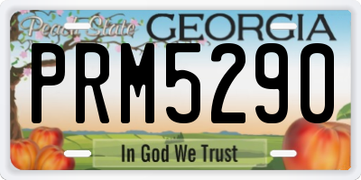 GA license plate PRM5290