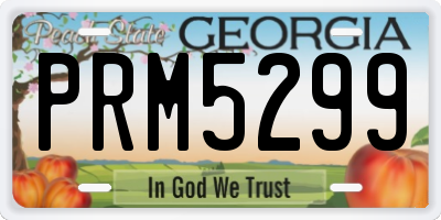 GA license plate PRM5299
