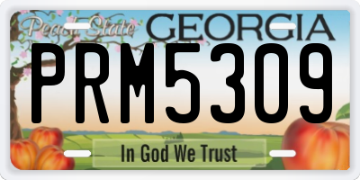 GA license plate PRM5309