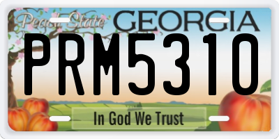 GA license plate PRM5310