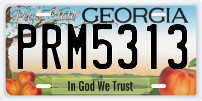 GA license plate PRM5313
