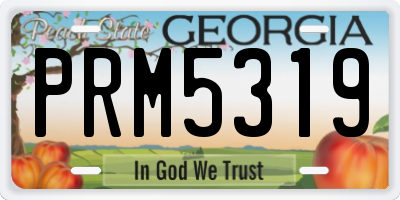 GA license plate PRM5319