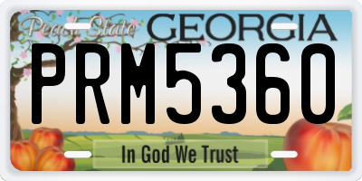 GA license plate PRM5360