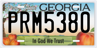 GA license plate PRM5380