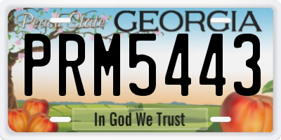 GA license plate PRM5443