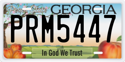 GA license plate PRM5447