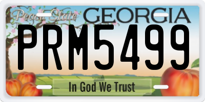 GA license plate PRM5499