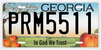 GA license plate PRM5511