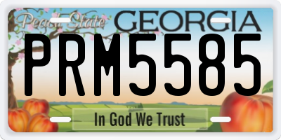 GA license plate PRM5585