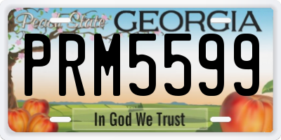 GA license plate PRM5599