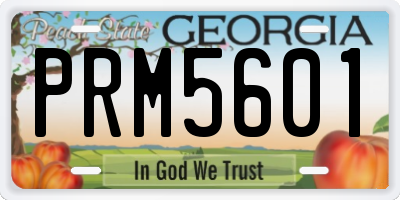 GA license plate PRM5601