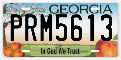 GA license plate PRM5613
