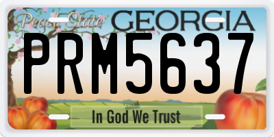 GA license plate PRM5637