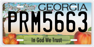 GA license plate PRM5663