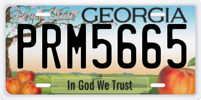 GA license plate PRM5665