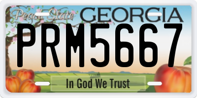 GA license plate PRM5667