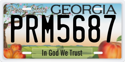 GA license plate PRM5687