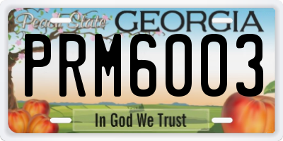 GA license plate PRM6003