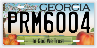 GA license plate PRM6004