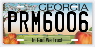 GA license plate PRM6006